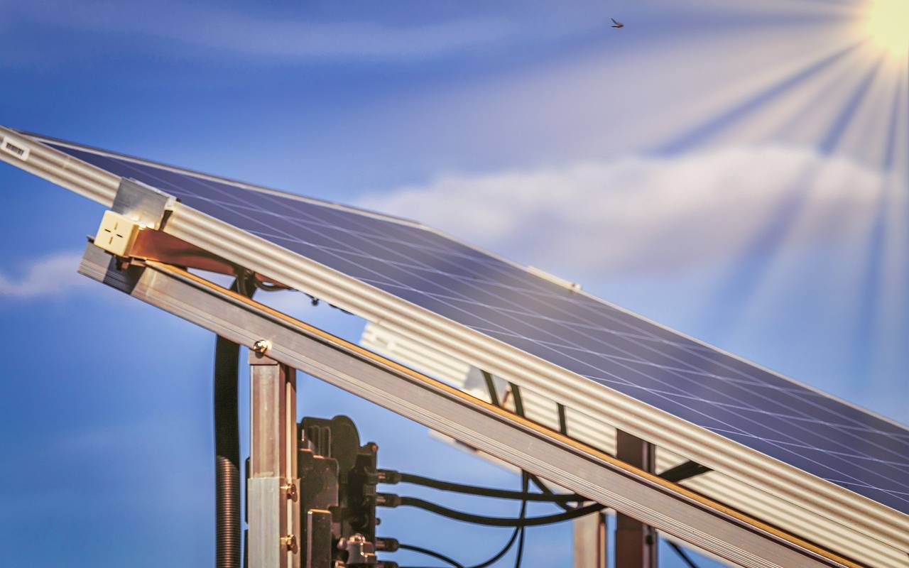 In Binsfeld soll ein "Biodiversitäts-Solarpark" entstehen