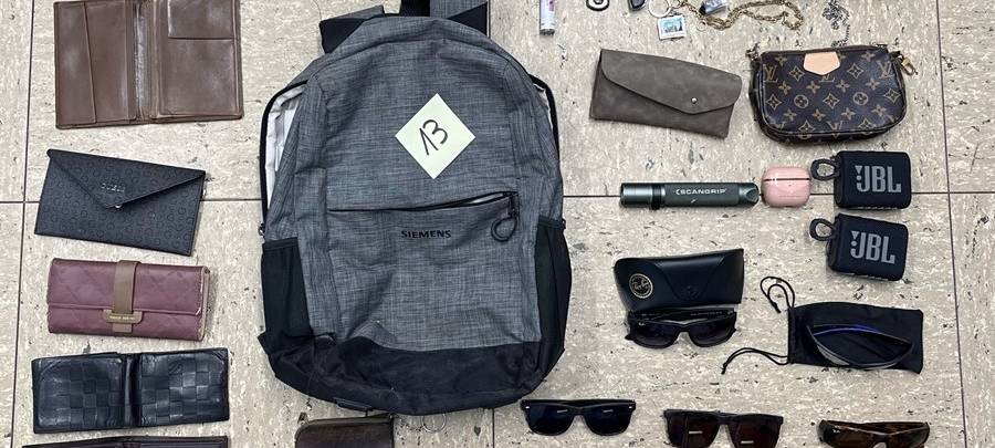 Polizei nimmt Autoknacker fest