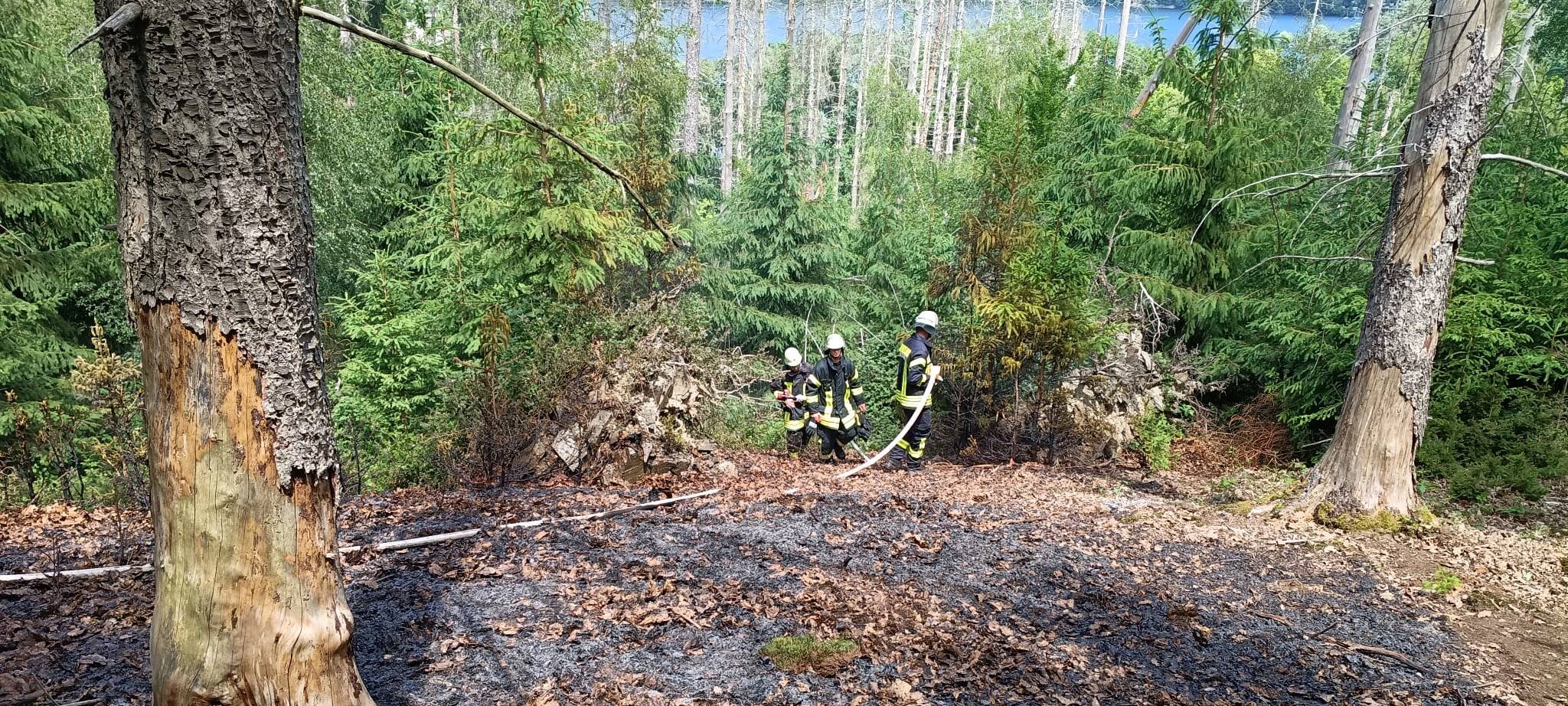Waldbrand in der Nähe des Rursees
