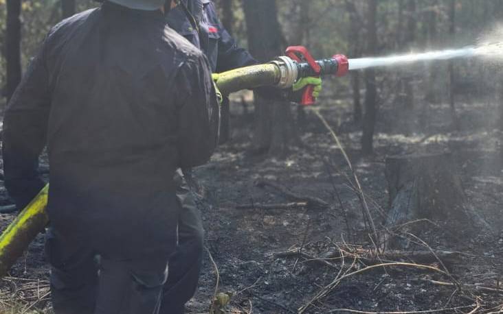 Waldbrand im Hürtgenwald: Einsatz läuft weiter