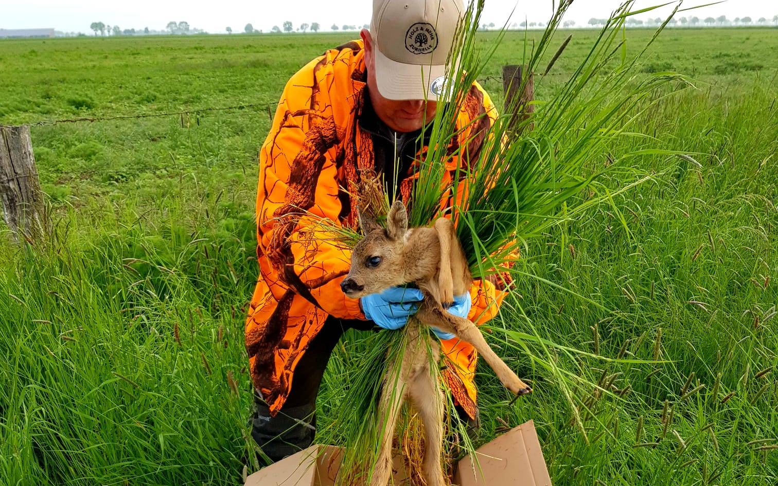 Kreisjägerschaft Düren zieht positive Bilanz für Kitzrettung